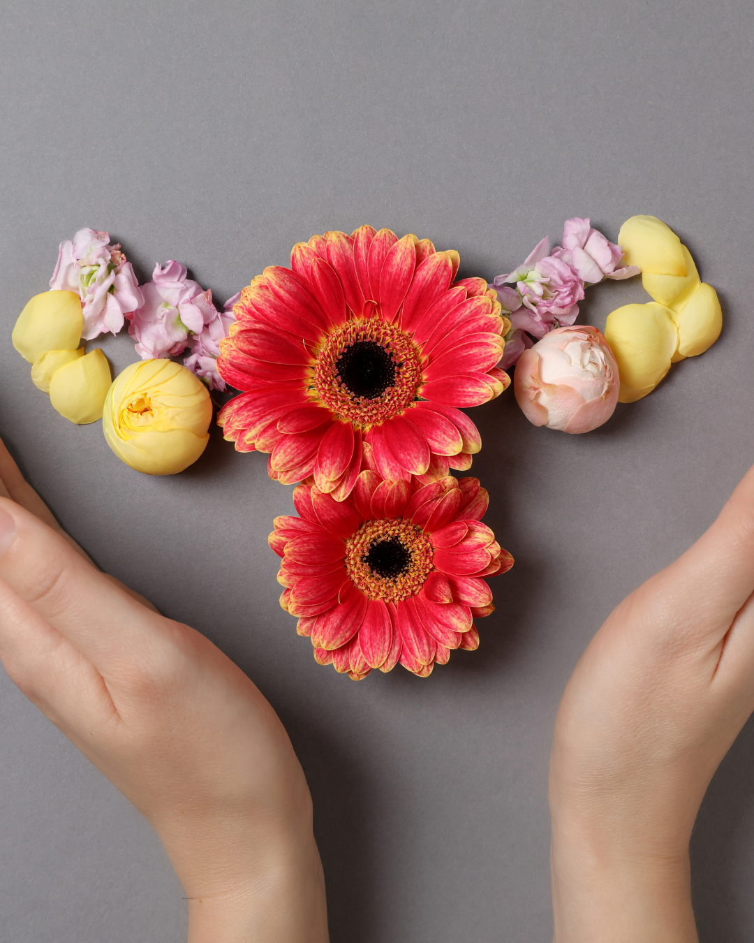 Hands holding flowers arranged in female reproductive shape, representing hormonal and intimate wellbeing