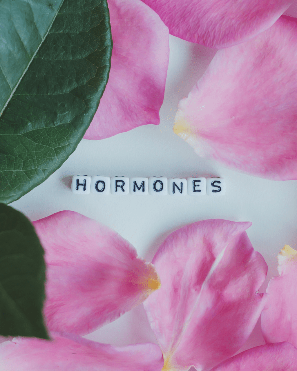 It’s Not You, It’s Your&nbsp;Hormones