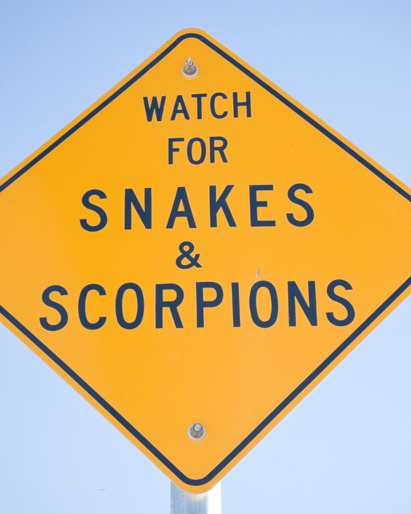 Warning sign reading 'WATCH FOR SNAKES & SCORPIONS' against a blue sky.