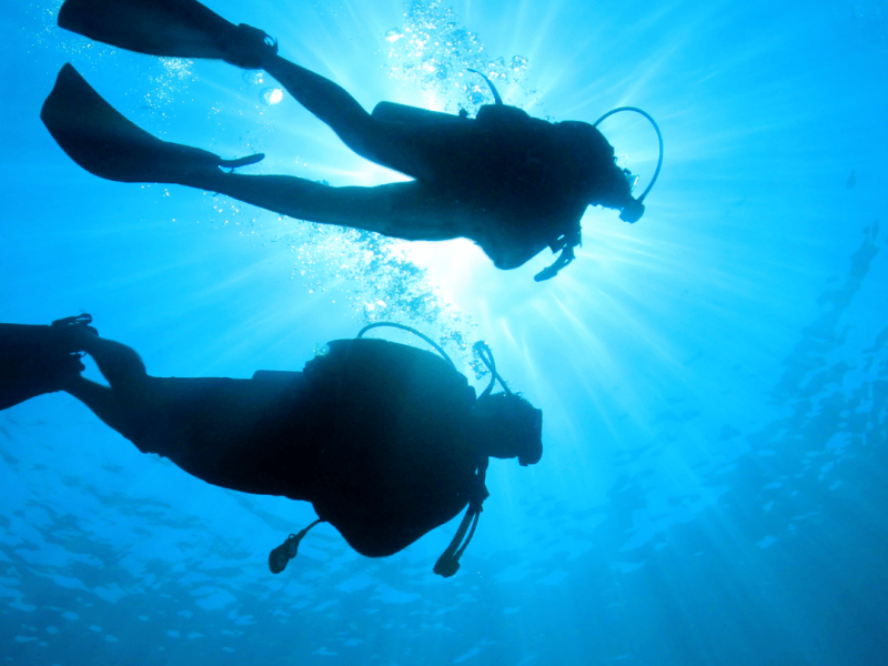 Beneath The Surface: What Happens To Your Body When You&nbsp;Dive