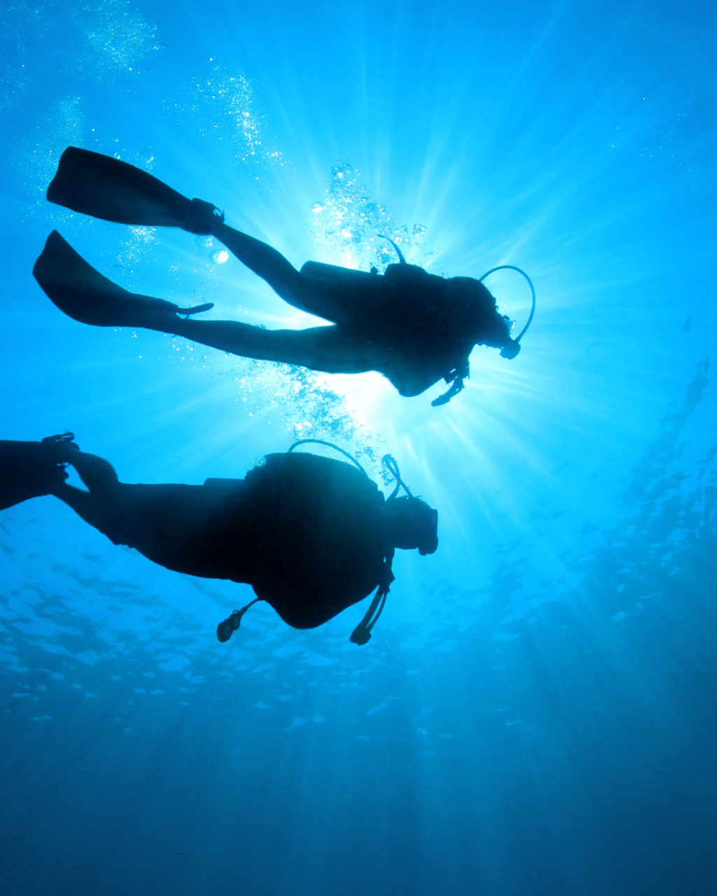 Beneath The Surface: What Happens To Your Body When You Dive