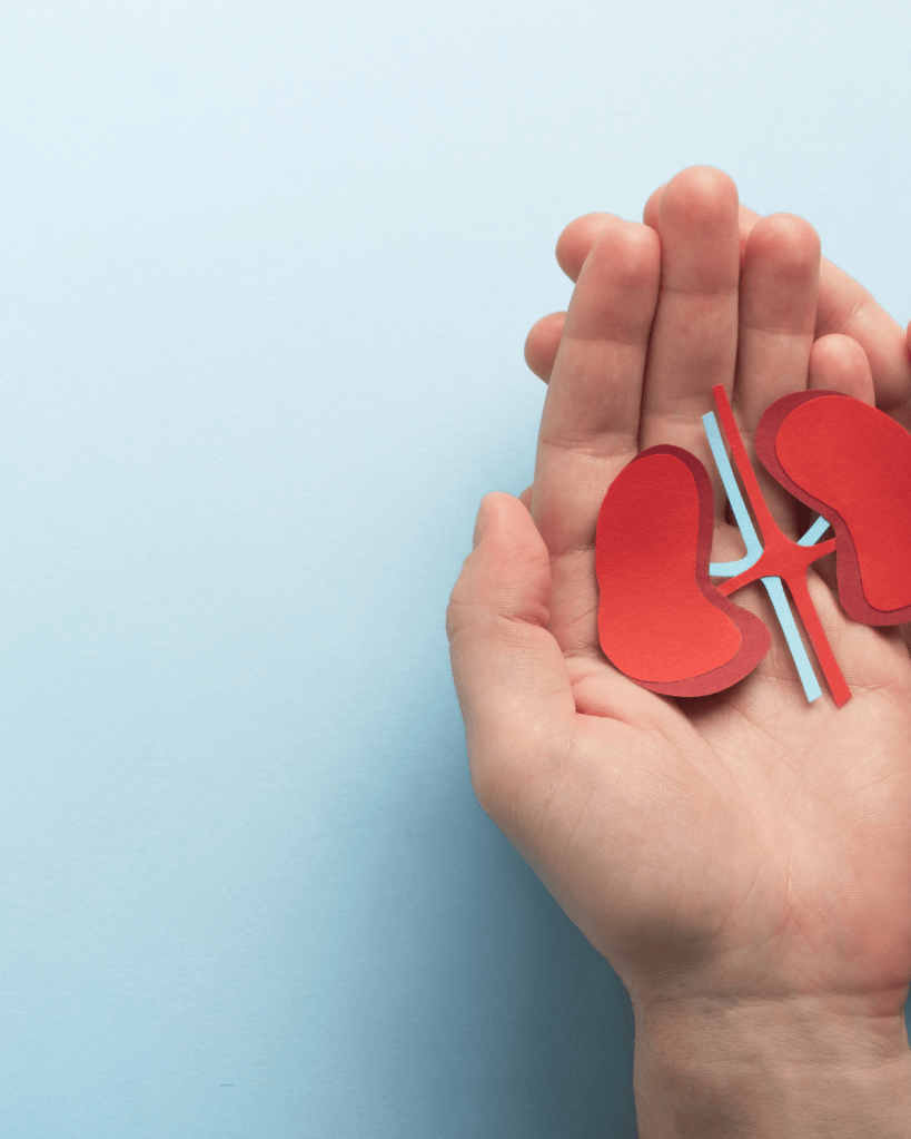 A hand holding two red paper kidney shapes and blue paper tubes, set against a light blue background.